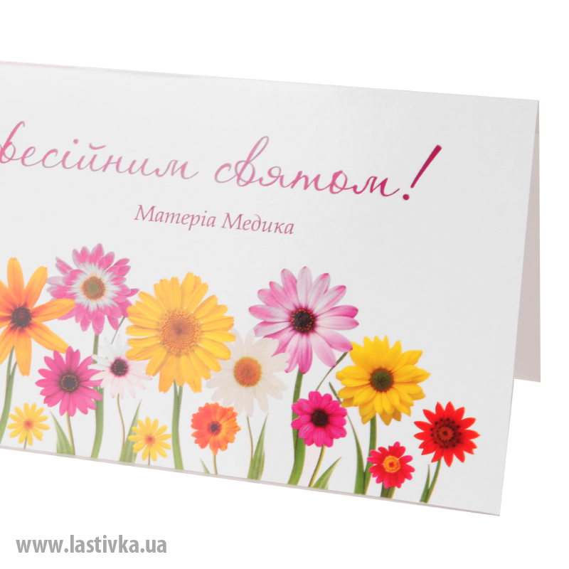 фото номер 1 N8053, Листівки signin.lastivka.ua